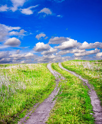 Similar image 5536994