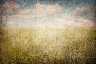 Similar image 5536995