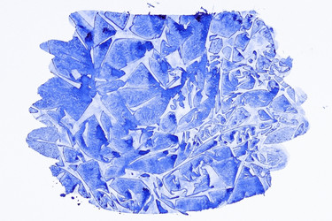 Similar image 5537011