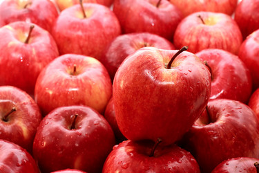 Similar image 5537013