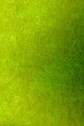 Similar image 5537020