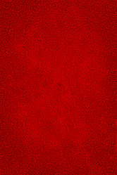 Similar image 5537021