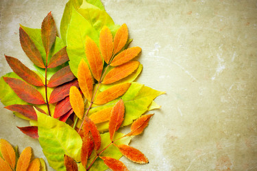 Similar image 5537060