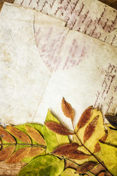 Similar image 5537061