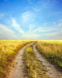 Similar image 5537131