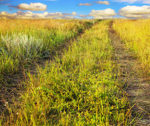 Similar image 5537132