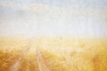 Similar image 5537135