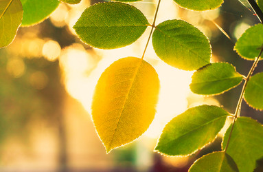 Similar image 5537192