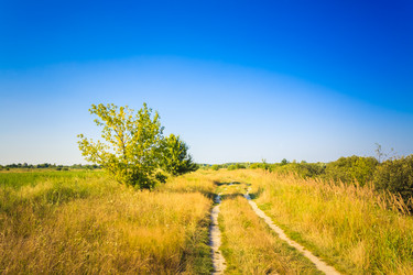 Similar image 5537330