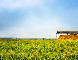 Similar image 5537357