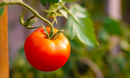 Similar image 5537380