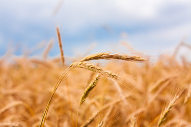 Similar image 5537405