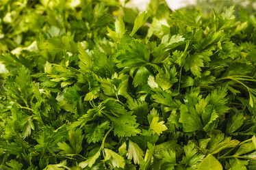 Similar image 5537414