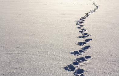 Similar image 5537421