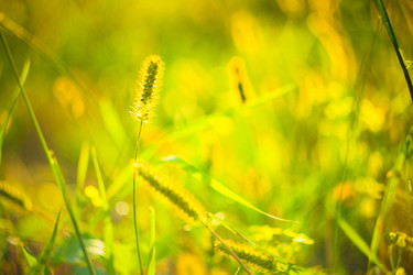 Similar image 5537422