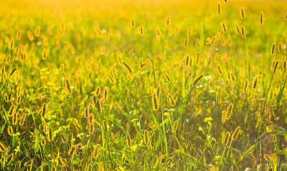 Similar image 5537423