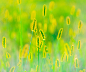 Similar image 5537424