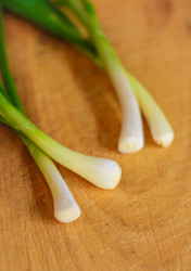 Similar image 5537431