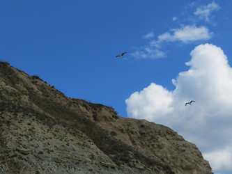 Similar image 5537526