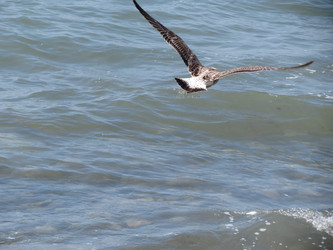 Similar image 5537723