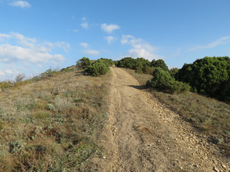 Similar image 5537726