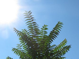 Similar image 5537793