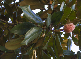 Similar image 5537821