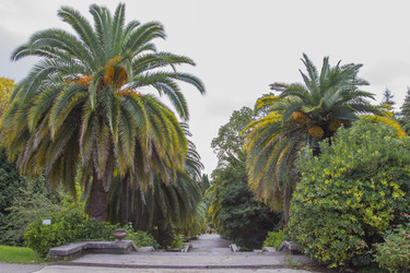 Similar image 5537822