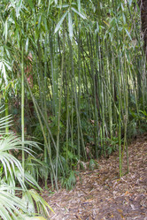 Similar image 5537830