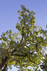 Similar image 5537955