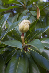 Similar image 5537956