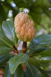 Similar image 5537958