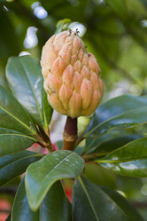 Similar image 5537959