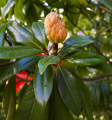 Similar image 5537960