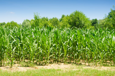 Similar image 5538151