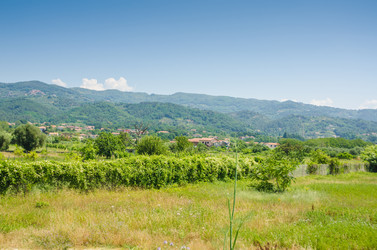 Similar image 5538155