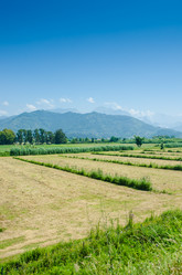 Similar image 5538157