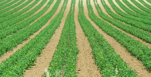 Similar image 5538159