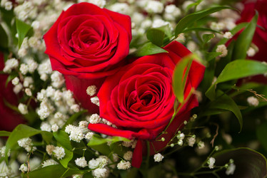 Similar image 5538166