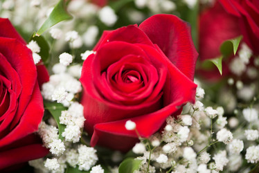 Similar image 5538173