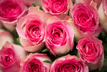 Similar image 5538174