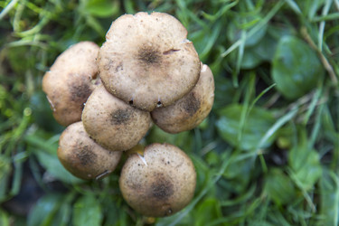 Similar image 5538334