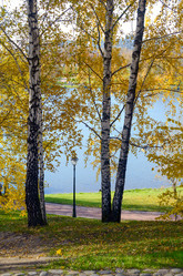 Similar image 5538345