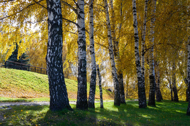 Similar image 5538347