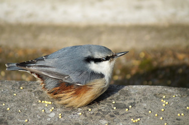 Similar image 5538349