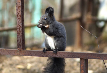 Similar image 5538351