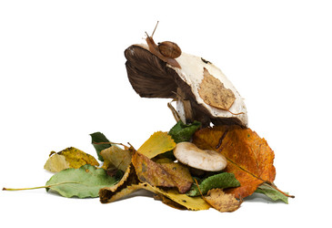 Similar image 5538356