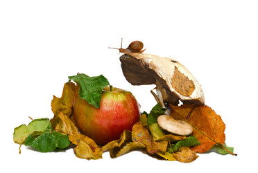 Similar image 5538357