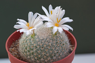 Similar image 5538364