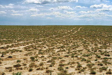 Similar image 5538365